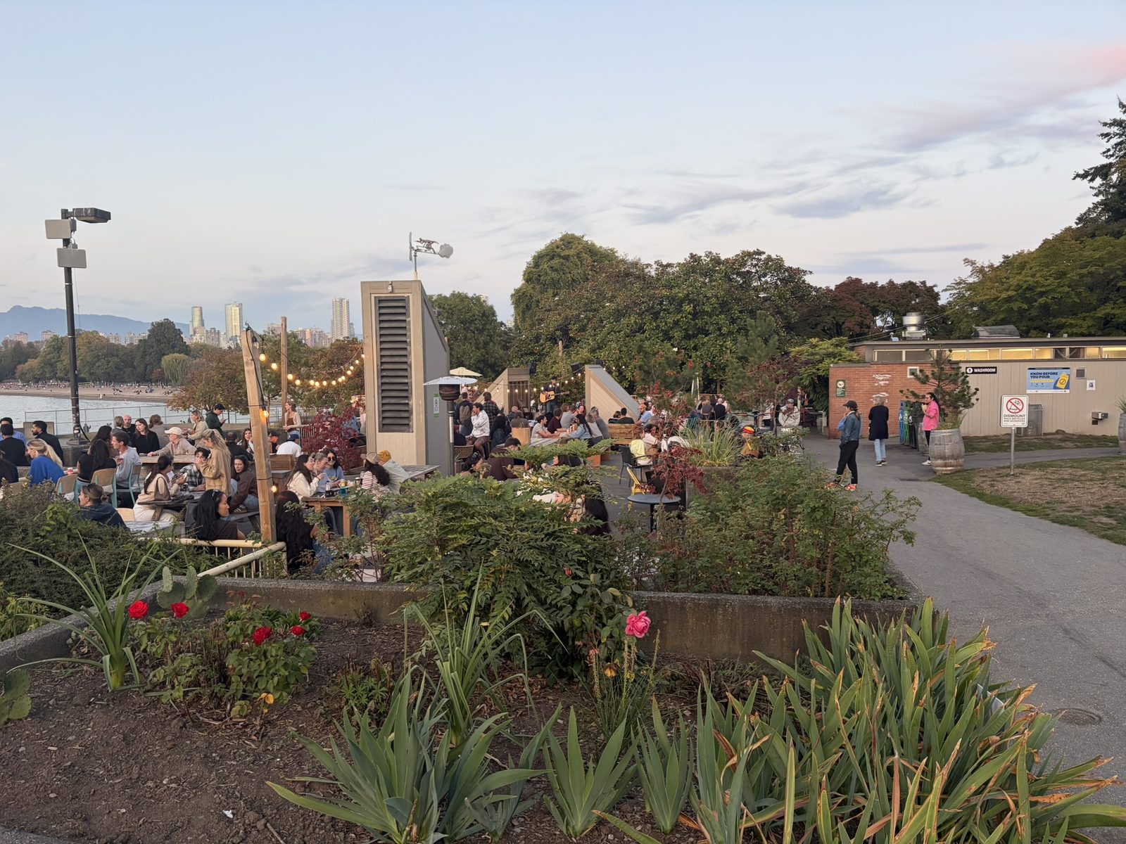People at tables on the Batch patio at Kitsilano Beach at dusk, seen past garden beds of roses and grasses
