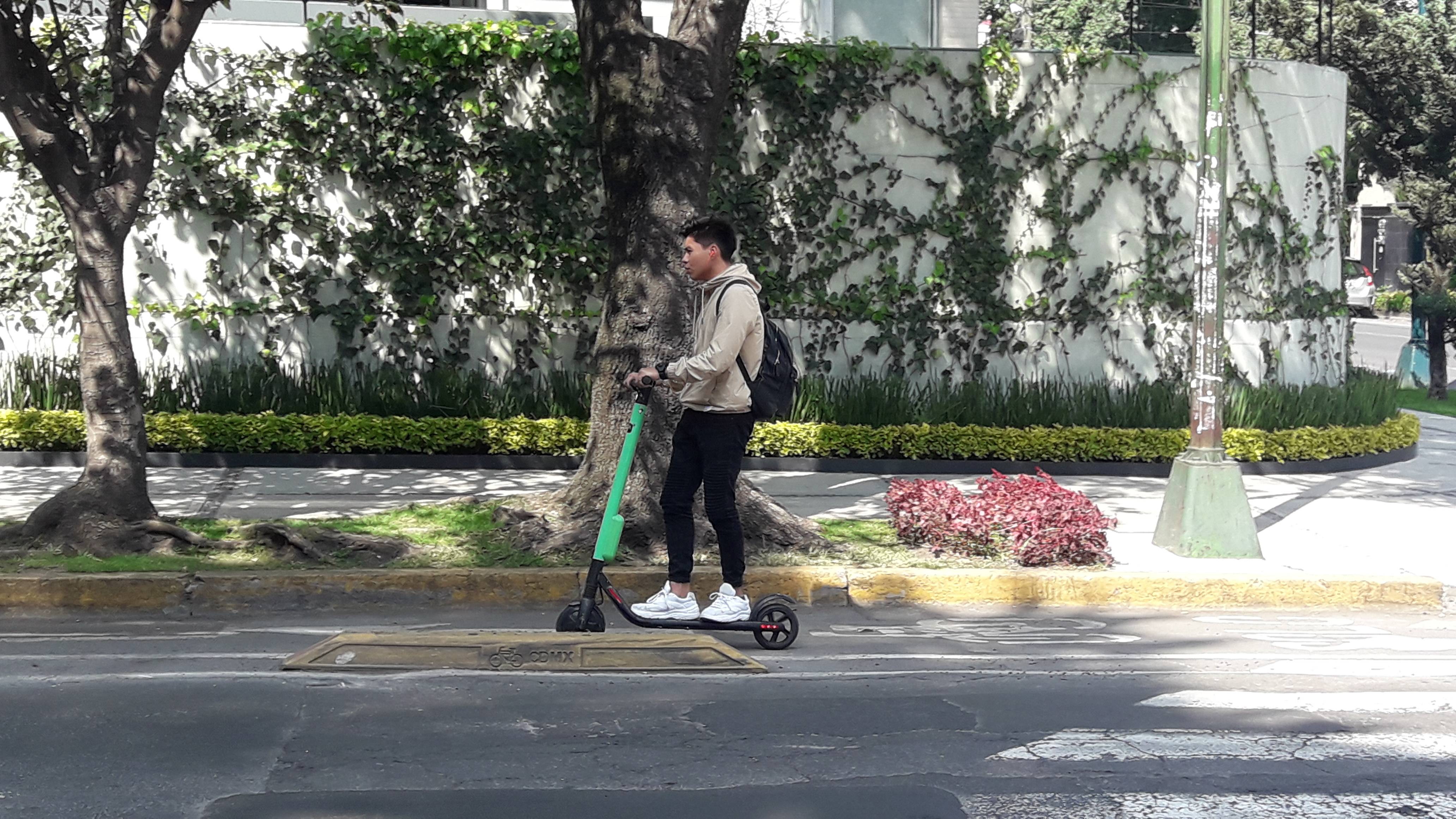 A person riding a green electric scooter in a cycle lane beside a city street